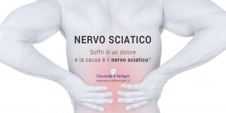Nervo Sciatico Infiammato Cosè Anatomia E Rimedi Dott Daniel Di Segni 8575